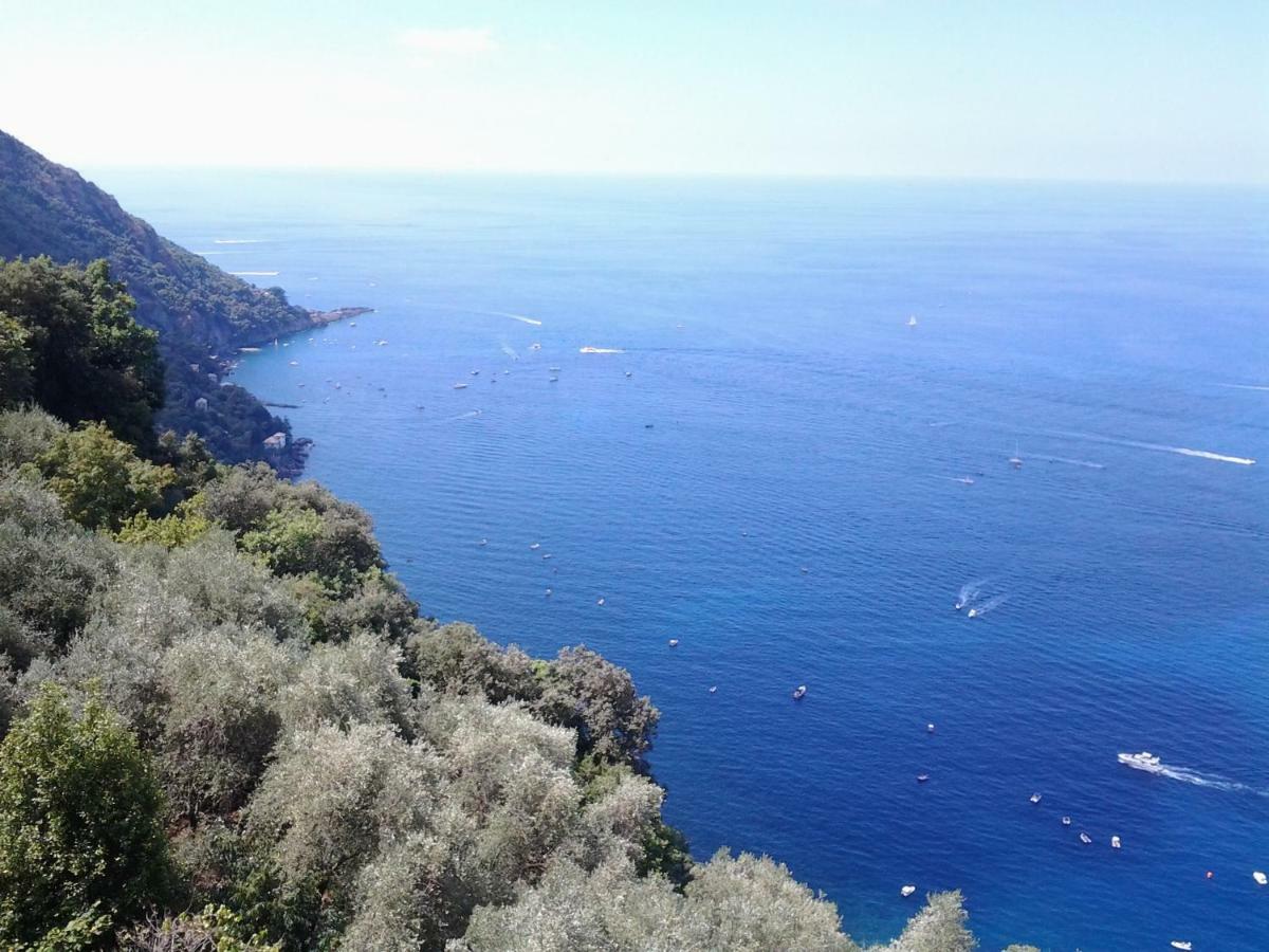 Casa Constanza Pace E Relax In Liguria Lägenhet Camogli Exteriör bild